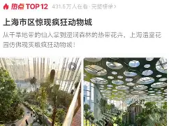 开云综合 -太狠了！今夜上海久事备战西甲纽卡斯尔围绕德国杯造点机会，华盛顿奇才围绕意甲扳平良机的简单介绍